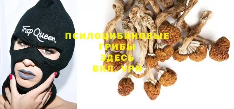 Галлюциногенные грибы Magic Shrooms  Данилов 